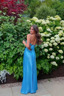 Elegant Sheath Beaded Blue Spaghetti Straps Back Tie Prom Dresses Formal Evening Gowns 501005