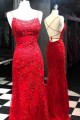 Elegant Mermaid Lace Long Prom Dresses Formal Evening Gowns 601896