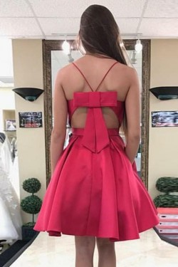 Short Prom Dress Homecoming Dresses Graduation Party Dresses 701074