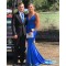 Elegant Mermaid Long Royal Blue Prom Dress Formal Evening Gowns 901402
