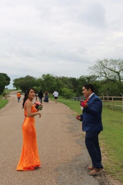 Mermaid Spaghetti Straps Sequin Long Prom Dresses Formal Evening Gowns 901582