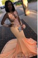 Long Mermaid Lace Prom Dresses Formal Evening Gowns 901593 Long Mermaid Lace Prom Dresses Formal Evening Gowns 901593