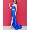 Long Royal Blue Two Pieces Prom Dresses Formal Evening Gowns 901643