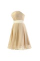 A-Line Strapless Short Chiffon Bridesmaid Dresses/Wedding Party Dresses BD010040