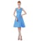 A-Line V-Neck Short Blue Taffeta Bridesmaid Dresses/Wedding Party Dresses BD010063