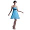 A-Line Strapless Short/Mini Blue Pleated Chiffon Bridesmaid Dresses/Wedding Party Dresses BD010077