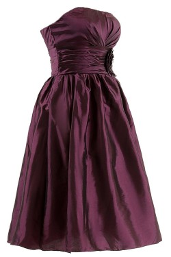 A-Line Strapless Short Bridesmaid Dresses/Wedding Party Dresses BD010105