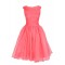 A-Line Short Bridesmaid Dresses/Wedding Party Dresses BD010198