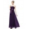 A-Line Empire Strapless Long Purple Chiffon Bridesmaid Dresses/Wedding Party Dresses/Maternity Dresses BD010252
