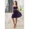 A-Line Strapless Short Purple Chiffon Bridesmaid Dresses/Wedding Party Dresses BD010361