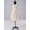 A-Line Short Chiffon Bridesmaid Dresses/Evening Dresses BD010512