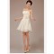 A-Line Strapless Short Chiffon Bridesmaid Dresses/Evening Dresses BD010545