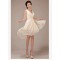 High Low V-Neck Short Chiffon Bridesmaid Dresses/Evening Dresses BD010549