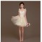 A-Line Short Tulle Bridesmaid Dresses/Evening Dresses BD010620