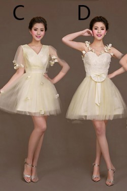 A-Line Short Tulle Bridesmaid Dresses/Evening Dresses BD010621