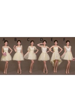 A-Line Short Tulle Bridesmaid Dresses/Evening Dresses BD010621