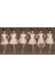 A-Line Short Tulle Bridesmaid Dresses/Evening Dresses BD010621