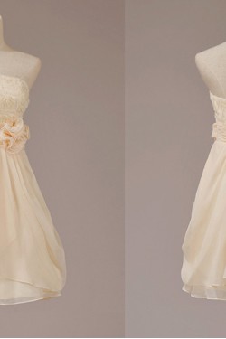 A-Line Strapless Short Chiffon Bridesmaid Dresses/Evening Dresses BD010629