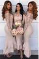 Mermaid Lace long Sleeves Bridesmaid Dresses 3010401