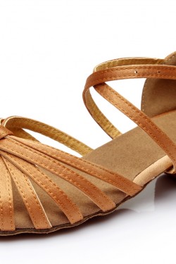 Women's Kids' Dance Shoes Latin/Ballroom Satin Chunky Heel Brown Dance Shoes D601024