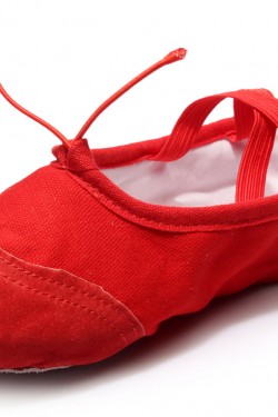 Women's Kids' Red Canvas Dance Shoes Ballet/Latin/Yoga/Dance Sneakers Canvas Flat Heel D601042