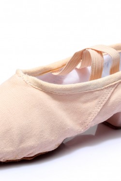 Women's Pink Canvas Dance Shoes Ballet/Latin/Yoga/Dance Sneakers Canvas Flat Heel D604002