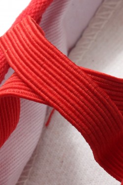 Women's Red Canvas Dance Shoes Ballet/Latin/Yoga/Dance Sneakers Canvas Flat Heel D604004