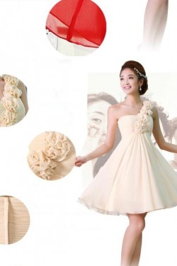 A-Line One-Shoulder Short Chiffon Prom Evening Bridesmaid Dresses ED011217