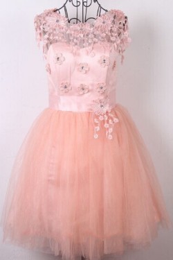 Short Pink Beaded Prom Evening Cocktail Dresses ED011484