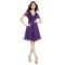 A-Line V-Neck Short Purple Chiffon Prom Evening Bridesmaid Dresses ED011675