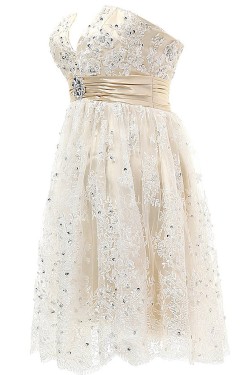 Short Purple Lace Prom Evening Formal Party Dresses ED010332