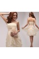 A-Line Strapless Short Chiffon Prom Evening Formal Party Dresses ED010530