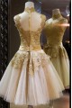 A-Line High Neck Short Prom Evening Formal Party Dresses ED010547
