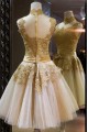 A-Line High Neck Short Prom Evening Formal Party Dresses ED010547 A-Line High Neck Short Prom Evening Formal Party Dresses ED010547
