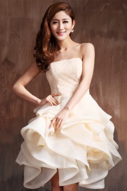 Short Strapless Lace Prom Evening Cocktail Homecoming Dresses ED010617