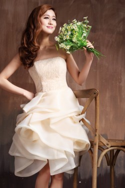 Short Strapless Lace Prom Evening Cocktail Homecoming Dresses ED010617