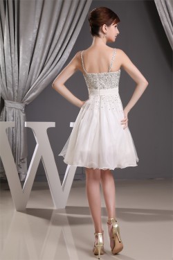 A-Line Criss Cross Chiffon Prom/Formal Evening Dresses 02021018