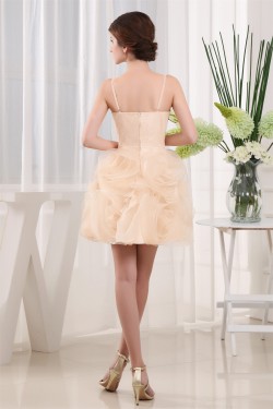 Sleeveless Satin Organza A-Line Short/Mini Homecoming Cocktail Party Dresses 02021062