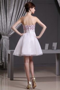 Satin Organza A-Line Strapless Sleeveless Prom/Formal Evening Dresses 02021123