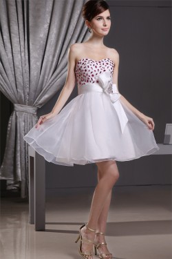 Satin Organza A-Line Strapless Sleeveless Prom/Formal Evening Dresses 02021123