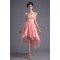 Chiffon Silk like Satin A-Line Strapless Prom/Formal Evening Dresses 02021463