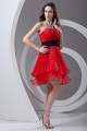 Organza Elastic Woven Satin A-Line Sleeveless Prom/Formal Evening Dresses 02021480