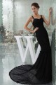 Elegant Trumpet/Mermaid Long Black Lace Brush Sweep Train Prom/Formal Evening Dresses 02020271