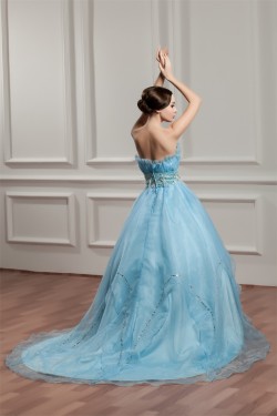 Brush Sweep Train Sleeveless A-Line Strapless Prom/Formal Evening Dresses 02020494
