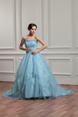 Brush Sweep Train Sleeveless A-Line Strapless Prom/Formal Evening Dresses 02020494