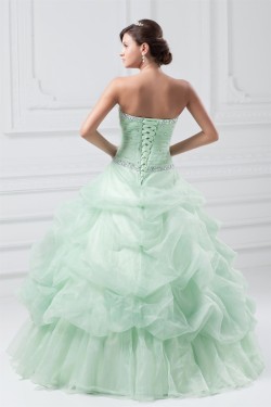 Sleeveless Satin Organza Pick Ups Ball Gown Prom/Formal Evening Dresses 02020896