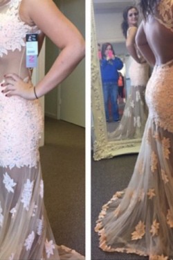 Sexy See Through Lace Appliques Long Prom Evening Formal Dresses 3020064