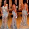 Long Silver Lace Prom Formal Evening Party Dresses 3021171
