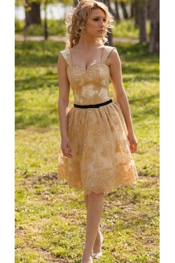 Short Lace Appliques Knee Length Homecoming Party Prom Dresses 3021568