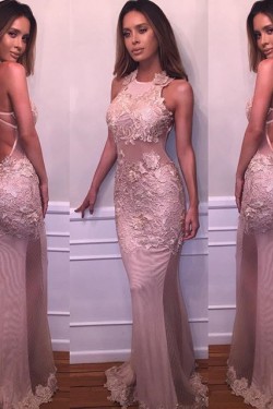 Backless Lace Long Prom Dresses Party Evening Gowns 3020259